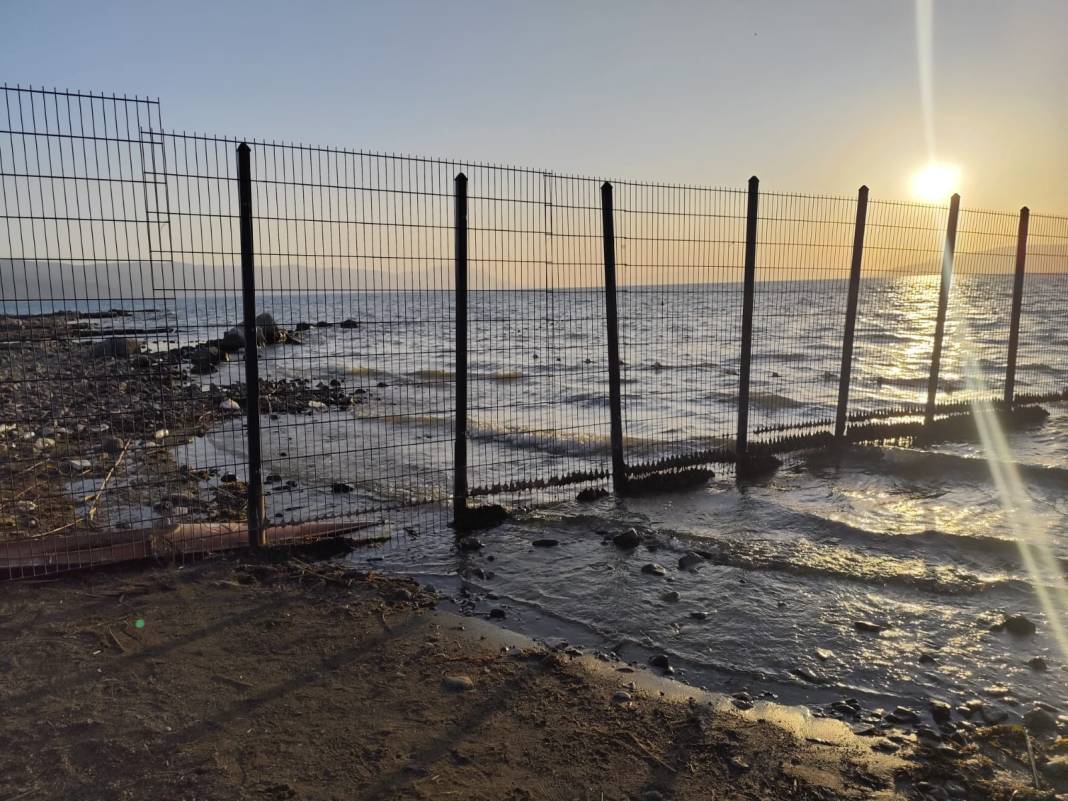 İznik Gölü kıyısında tedirgin eden manzara! Ölü balıklar endişe yarattı: Görüntüler turistleri şaşkına çevirdi 2